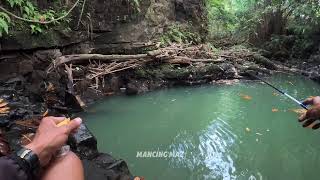 SPOT MANCING IKAN UCENG DAN WADER MICRO FISHING JOGJA MASIH ASRI DAN ALAMI [upl. by Jt]