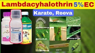 Karate Reeva Insecticide Uses  Lambdacyhalothrin 5 EC  Tamil [upl. by Faye847]