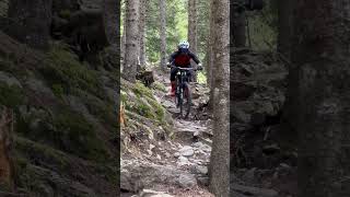 RAW reschenpass trails mtb enduro mountains [upl. by Werdnael]