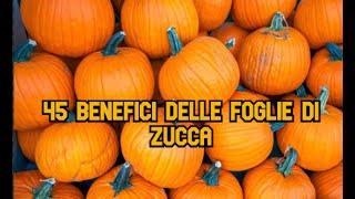 45 benefici delle foglie di zucca [upl. by Wiebmer320]