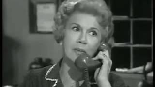 Petticoat Junction  A Night at the Hooterville Hilton Se01E13 Full Episode [upl. by Wandy]