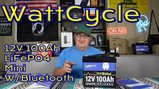 WattCycle LifePO4 12v 100Ah Battery Review [upl. by Carol]