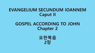 요한복음 2장 라틴어 성경Evangelium secundum Ioannem II Nova VulgataJohn 2 Neo Vulgate Latin Bible [upl. by Edurtreg]