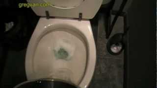 How To Flush Your Toilet With A Bucket of Water  Plumbing Problems [upl. by Hendrick]