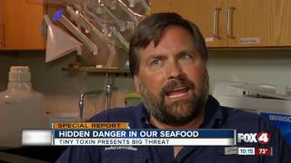 Ciguatera Hidden danger in seafood tiny toxin presents big threat [upl. by Kunin]