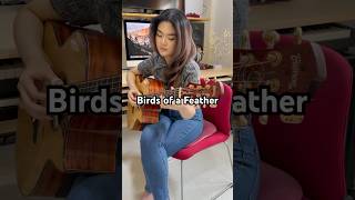 Birds of a Feather  BillieEilish fingerstyle guitar cover JosephineAlexandra [upl. by Nomolos684]