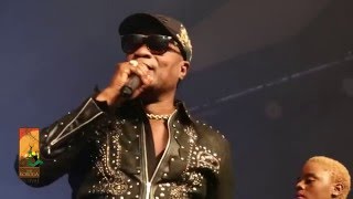 Koffi Olomide performs Effrakata Live at The Koroga Festival [upl. by Yauqram505]