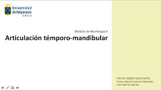 Histología de la Articulación témporomandibular [upl. by Unni]