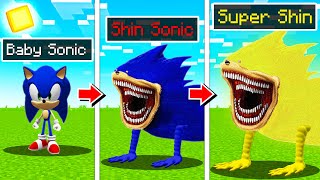 Upgrading Sonic To SUPER SHIN SONIC In Minecraft [upl. by Yecaj]