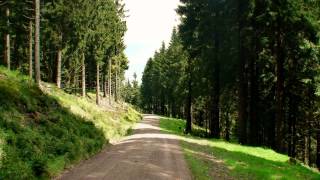 Wandern Thüringer Wald Rennsteig bei Oberhof [upl. by Suolevram]