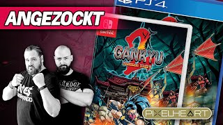 Ganryu 2 Hakuma Kojiro  Playstation 4 Gameplay  NES Commando Stream [upl. by Hilliary]