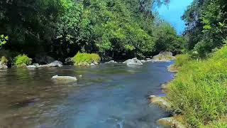 PEACEFUL CREEK SOUNDS IN THE MOUNTAINS OF VERMONT RELAXING NATURE SOUNDS [upl. by Akcire]