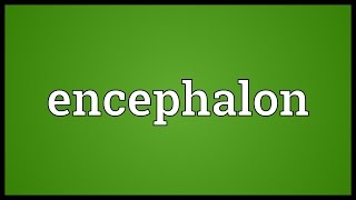 Encephalon Meaning [upl. by Ramunni]