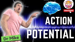 Action Potential  Graded Potentials [upl. by Yesiad29]