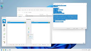 How do I paste my FileBot License Key [upl. by Verlee212]