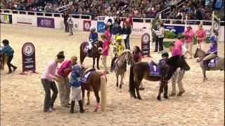 WIHS Shetland Pony Steeplechase Race 2 Thursday Oct 23 2014 [upl. by Batha878]