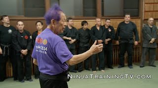 SPECIAL Ninja Grandmaster Masaaki Hatsumi Sensei  Budo Taijutsu at Hombu Dojo 3 [upl. by Eizzo]