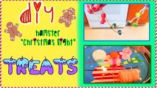 DIY HAMSTER quotChristmas Lightquot Treats [upl. by Lotsirk]