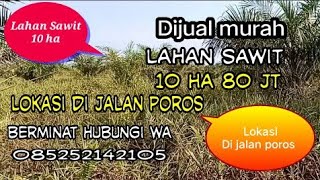 Lahan Sawit 10 Ha Dijual Murah Cuma 80 Jt Lokasi Di Jalan Poros [upl. by Sewole172]