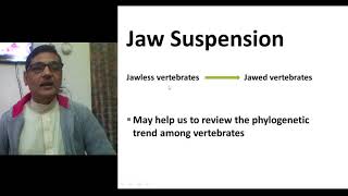 Jaw Suspensorium Structural and Evolutionary Trend in Vertebrates [upl. by Domenic]