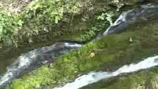 RHODOS Valley Of The Butterflies Rhodes Music Tim Blake [upl. by Innaig891]