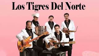 MIX TIGRES DEL NORTE PUROS EXITOS PURAS ROMÁNTICAS 2022 [upl. by Taryne]