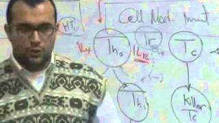 Immunology Revision quotPart 2quot [upl. by Rayford]