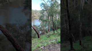 Warrandyte State Park  VIC Australia park lake river camping hike asmr relax outback [upl. by Ahsemat]