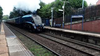 A4 60007 on the last Fellsman Of 2024 Crewe to Carlisle Wednesday 11th September 2024 [upl. by Ecnirp]