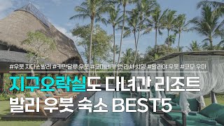 우붓 숙소 BEST 5  지구오락실 멤버들도 다녀간 리조트 포함 발리 우붓 숙소 추천  지다스 발리 카만달루 우붓 코마네카 앳 라사사양 알라야 리조트 우붓 등 [upl. by Uriah]