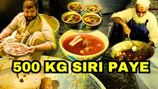 🔥 500 Kg SIRI PAYA  10 Buffalo Head amp Legs  Street Food Peshawari Siri Paye Recipe [upl. by Hcelemile716]