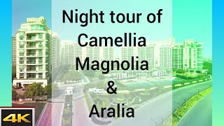 the Camellias  NIGHT TOUR OF GOLF LINK  dlf the magnolia  dlf the camellias  dlf the aralias [upl. by Bohlen382]