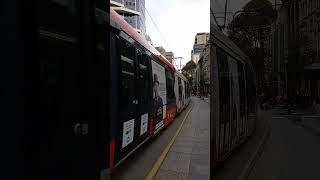 Trams in Sydney [upl. by Bruner]