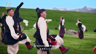 Tibetan Gorshey Song 2023 གཟིམ་བྲོ་བཀྲ་ཤིས་ཡར་འགྲོ། [upl. by Farlie]