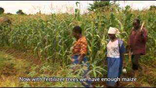 Harvesting Hope 3 World Agroforestry Centre [upl. by Apoor721]