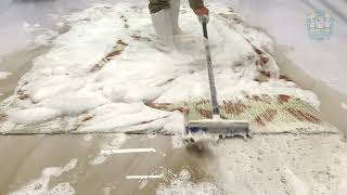 Satisfying Carpet Cleaning ASMR  Clean Dirty Rugs [upl. by Belsky]