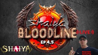 Jogando Shaiya BloodLine V2 45 Vamos de PVP em DD1 [upl. by Neerol690]