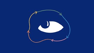 How Does the Brain Control Eye Movements [upl. by Bores]