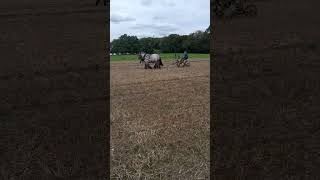 Hurstpierpoint ploughing match shorts [upl. by Venola]