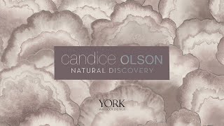 Candice Olson Natural Discovery [upl. by Rann619]