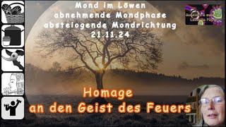 MondART  Eine Homage an den Geist des Feuers [upl. by Akihsar509]