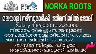 Norka roots job vacancies Nursing post for Germanynewinfonorkaroots [upl. by Maxfield]