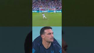 Lionel Scalonis Reaction to Lautaro Martinezs Penalty [upl. by Enelyw]