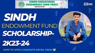 How To Apply For Sindh Education Endowment Scholarship 2k2324All Government Uni students Eligible [upl. by Filip]