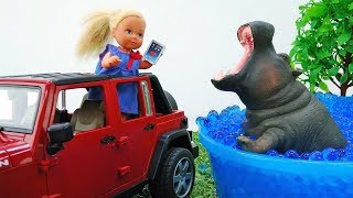 Barbie baby doll videos  Toys in Safari park [upl. by Hollingsworth]