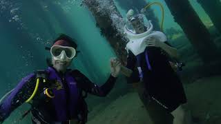 Busselton Jetty Undersea Walk By SeaTrek  Dive Busselton Jetty [upl. by Even499]