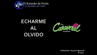 Grupo Cañaveral Echarme al olvido karaoke [upl. by Atiuqahs490]