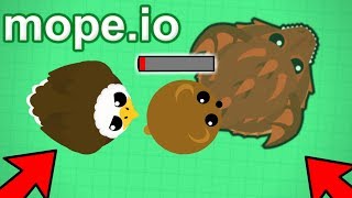 Mopeio The Food Chain In Action  Zombie Infection Gameplay Mopeio New Beta Update [upl. by Jodee664]