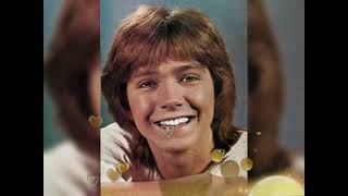 DAVID CASSIDY TRIBUTECOULD IT BE FOREVER LIVE [upl. by Kussell161]