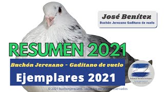 RESUMEN Palomos Buchon Jerezano Gaditano de vuelo 2021 buchonjerezano buchongaditanodevuelo [upl. by Humfrey48]